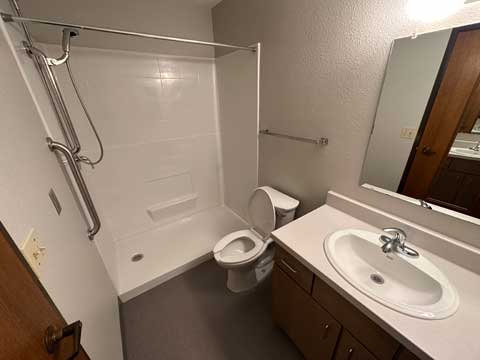 Sharp View Bathroom Shower View