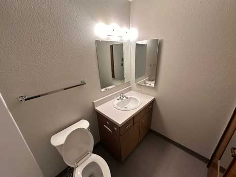 Sharp View Bathroom Sink and Toilet View