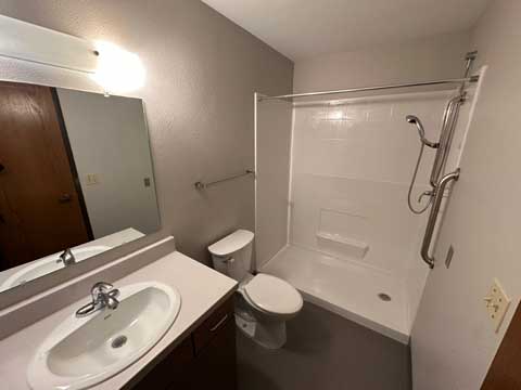 Sharp View Bathroom Sink and Shower View