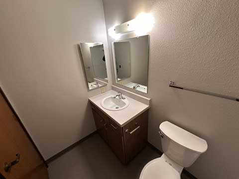 Sharp View Bathroom Sink and Mirror View